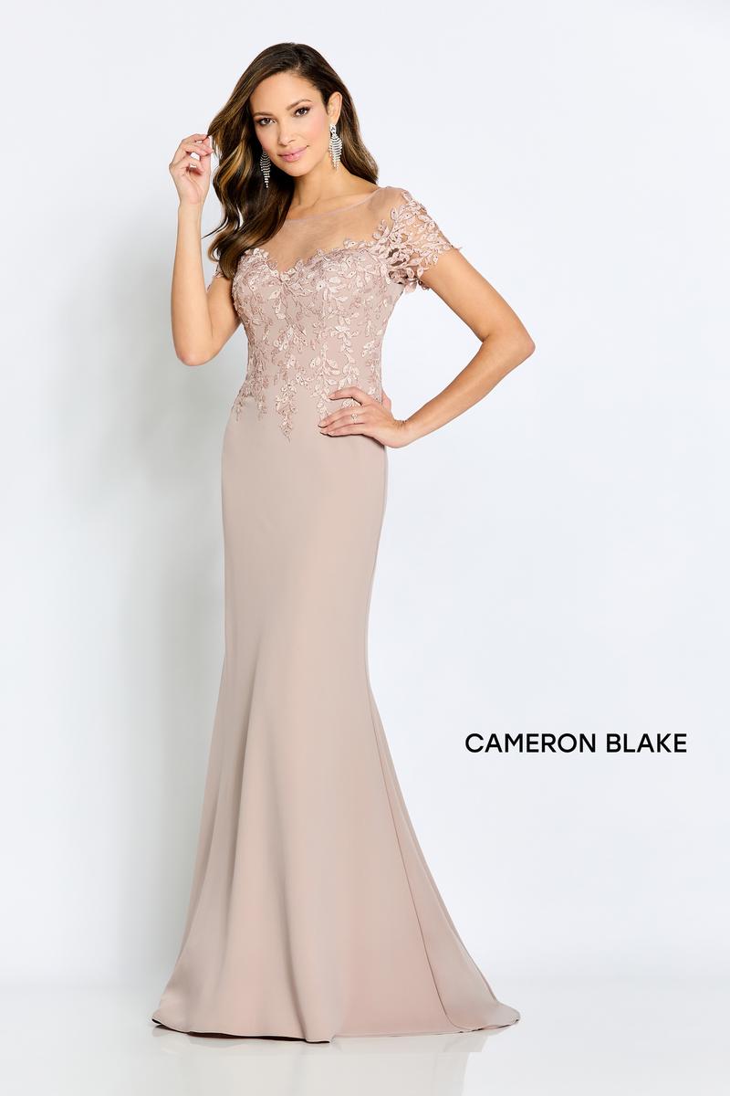 Cameron Blake Illusion Lace Evening Dress CB111