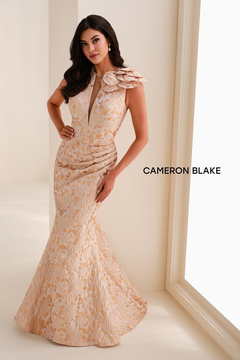 Cameron Blake Dress CB821