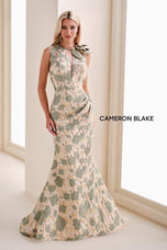 Cameron Blake Dress CB821