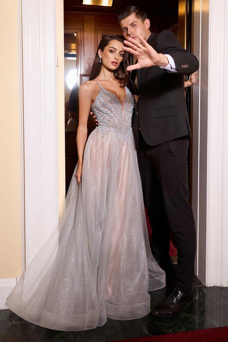 Ladivine Dress CC2531