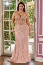 Ladivine Dress CC416