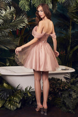 Ladivine Dress CD0211