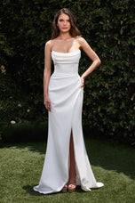 Ladivine Dress CD355
