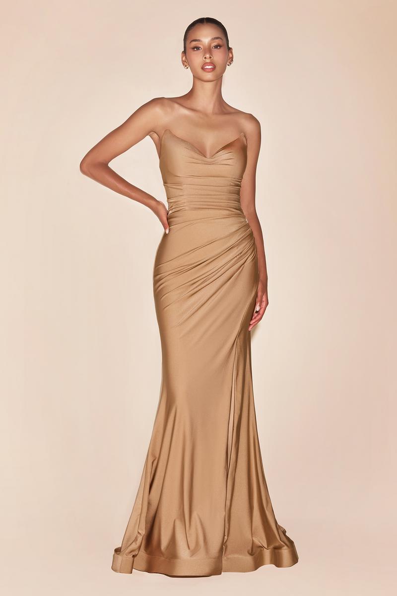 Ladivine Strapless Fitted Long Dress CD791