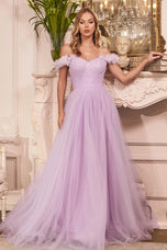 Cinderella Divine Dress CD957