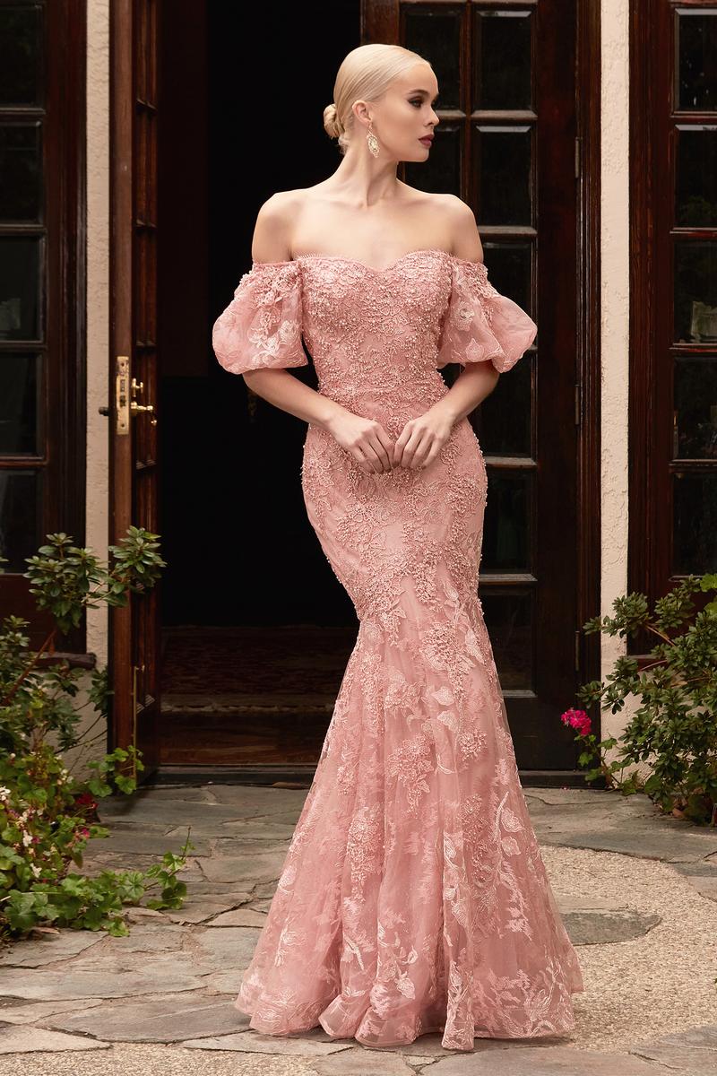 Ladivine Dress CD959