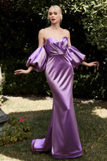 Cinderella Divine Dress CD983
