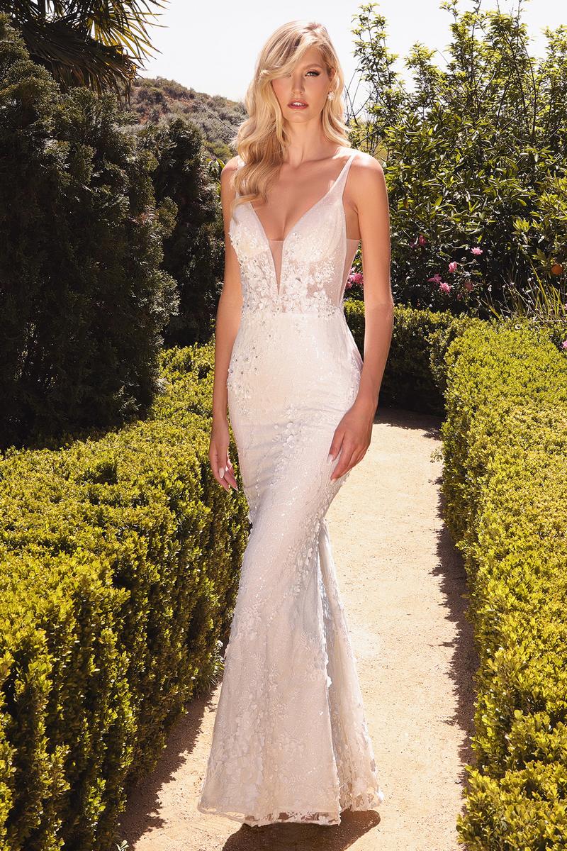 Ladivine Dress CDS403W