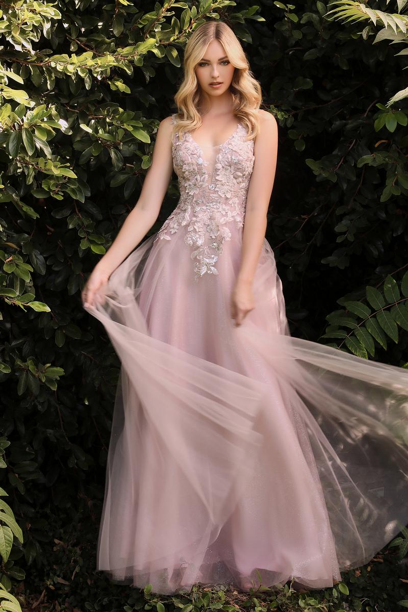 Cinderella Divine Dress CDS409