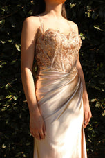 Ladivine Dress CDS412