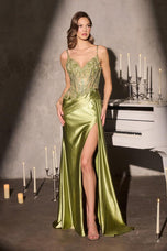 Ladivine Dress CDS556