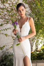 Cinderella Divine Dress CF319W