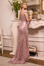 Ladivine Dress CH171