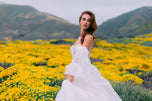 Wilderly Bride by Allure Dress F327