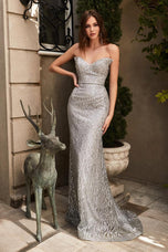 Cinderella Divine Dress CR863