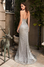 Cinderella Divine Dress CR863