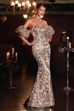 Cinderella Divine Dress J820