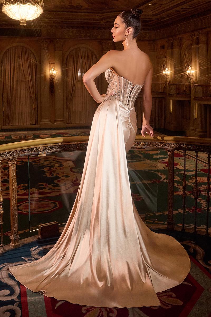 Ladivine Strapless Long Dress KV1131