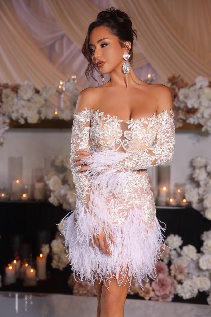 Portia and Scarlett Long Sleeve Feather Cocktail Dress PS25563