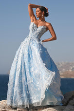 Portia and Scarlett 3D Floral Basque Waist Ballgown Prom Dress PS26149