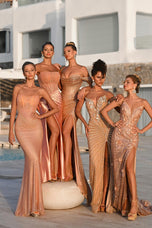 Portia and Scarlett Tight Prom Dress PS26235