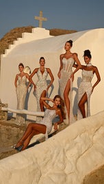 Portia and Scarlett Plunging Beaded Prom Dress PS26401C