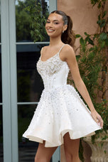 Portia and Scarlett Cocktail Dress PS26701