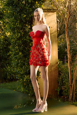 Portia and Scarlett Cocktail Dress PS26739