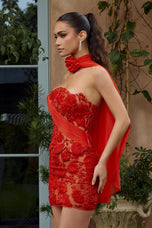 Portia and Scarlett Cocktail Dress PS26741
