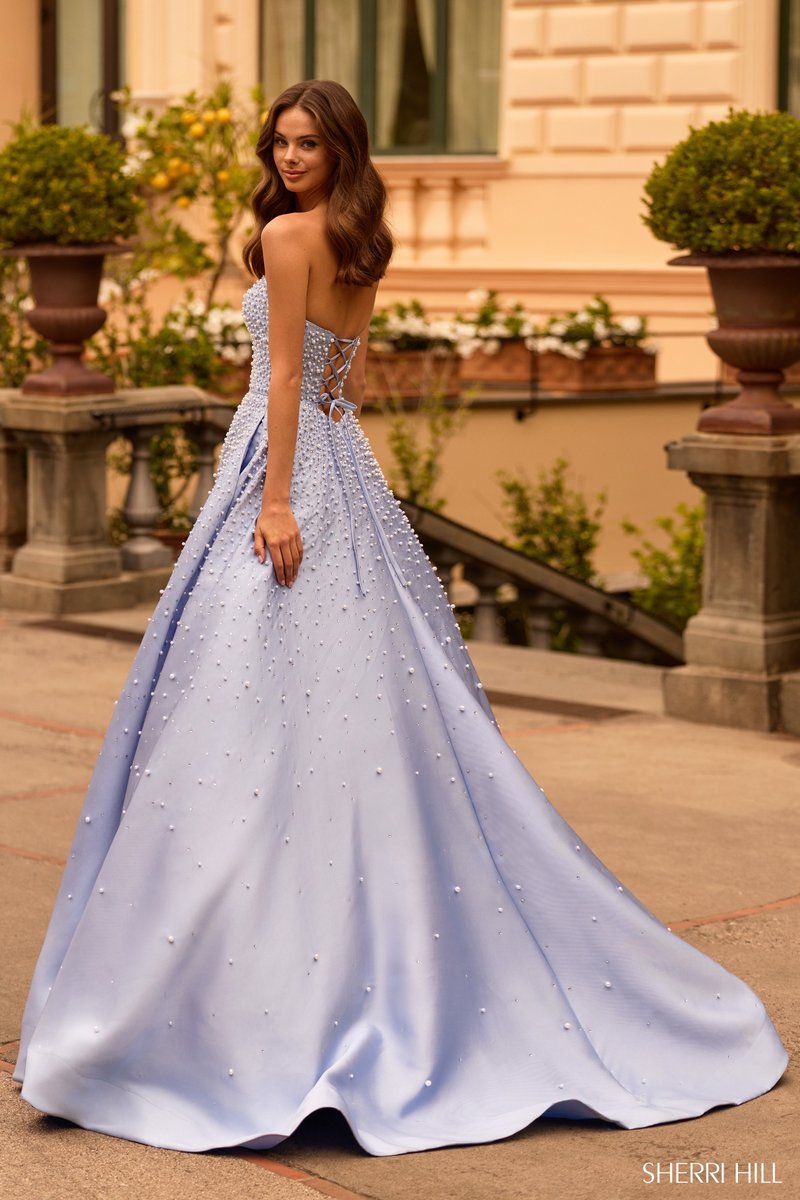 Sherri Hill Dress 58012