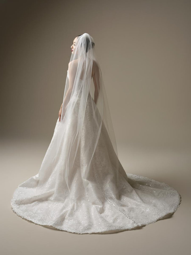 Sottero &amp; Midgley by Maggie Sottero Designs Dress 26SZ476A01