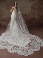 Sottero &amp; Midgley by Maggie Sottero Designs Dress F6SK142A01