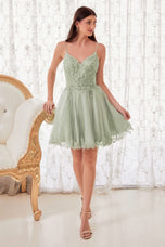 Ladivine Dress CD0213