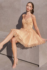 Ladivine Dress CD0213