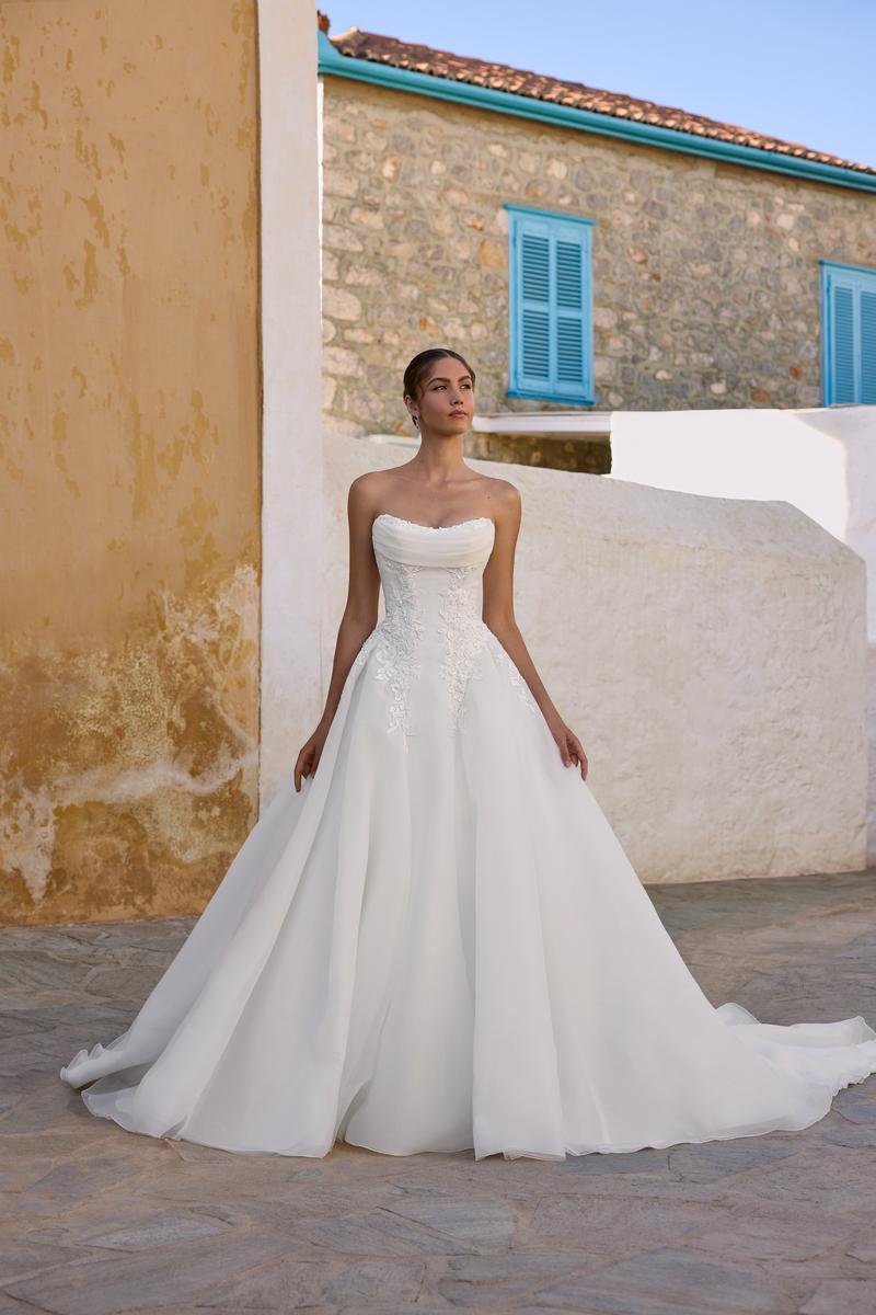 Sophia Tolli