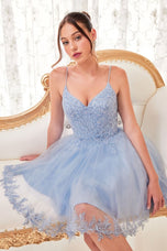 Ladivine Dress CD0213