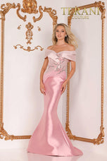 Terani Mother of the Bride Dress 2011M2159