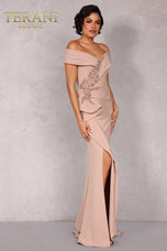 Terani Mother of the Bride Dress 2021M2986