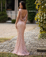 Primavera Exclusives Dress 3796