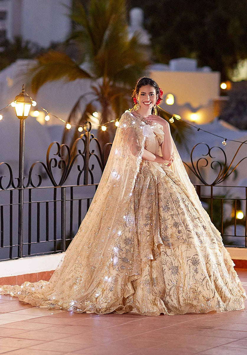 Raj Gharana - Golden glitter gown ✨ “Leave a little... | Facebook