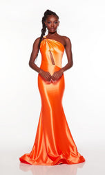 Alyce Prom Dress 61441