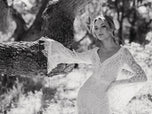 Wilderly Bride by Allure Dress F250